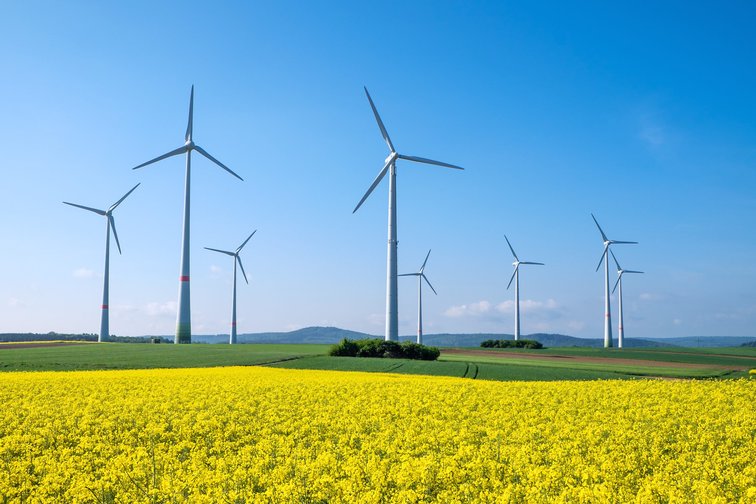 France Nation Verte : 5 questions pour comprendre le fonds pour la planification écologique